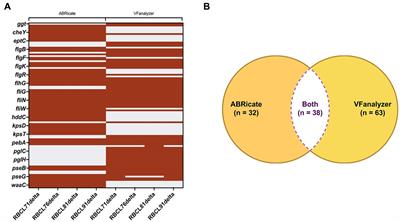 Comparative genomic analysis of Campylobacter hepaticus genomes associated with spotty liver disease, Georgia, United States